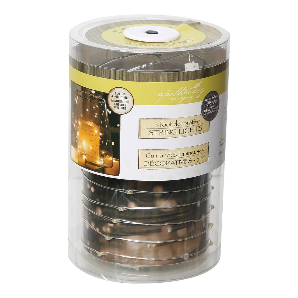 The Apothecary Company Silver Decorative Micro Led String Led String Lights 5ft Img